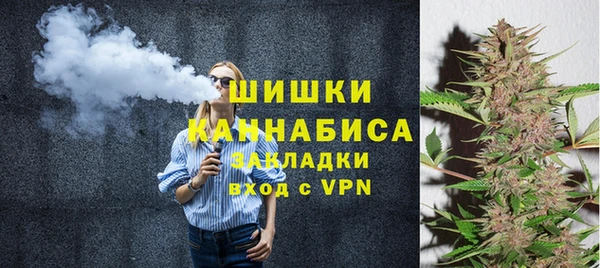 индика Няндома