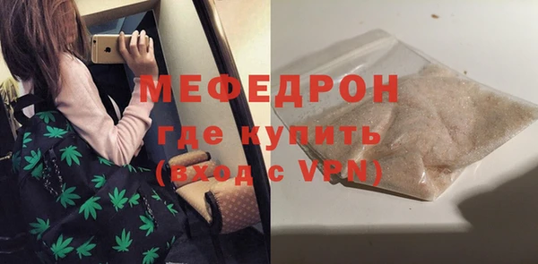 индика Няндома