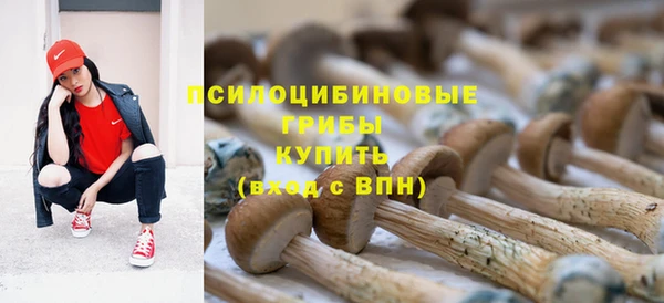 хмурый Бикин
