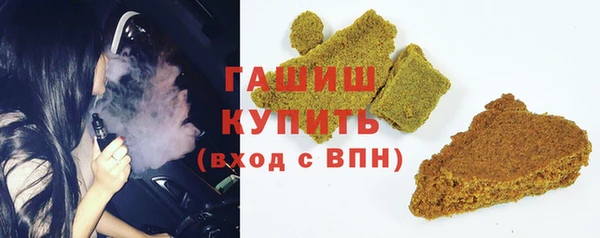 индика Няндома