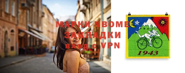 индика Няндома