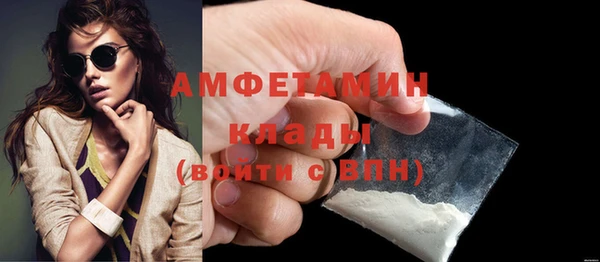 индика Няндома