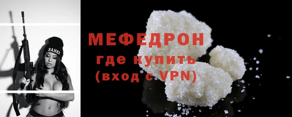 индика Няндома