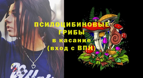 индика Няндома