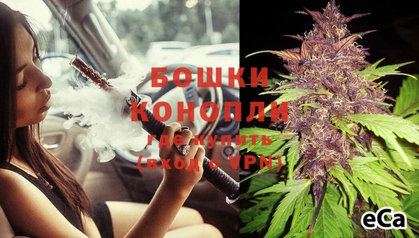 хмурый Бикин