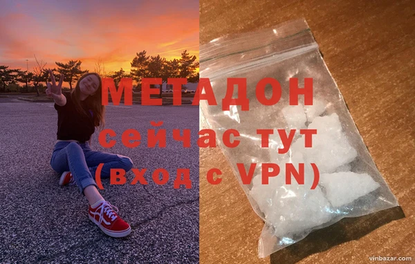 индика Няндома
