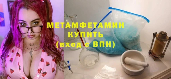 индика Осинники