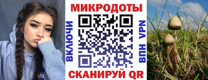 Галлюциногенные грибы мицелий  где купить наркоту  Череповец 