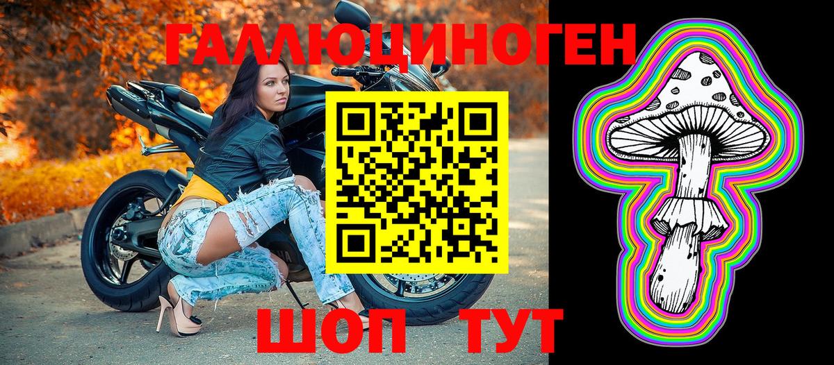 Галлюциногенные грибы Psilocybine cubensis  Вход с VPN  Череповец 